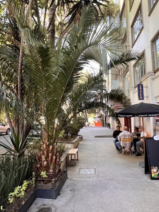 Condesa 7 Stylish 2 Bedroom, 1 Bathroom Accentuating Expansive Interiors Mexico City