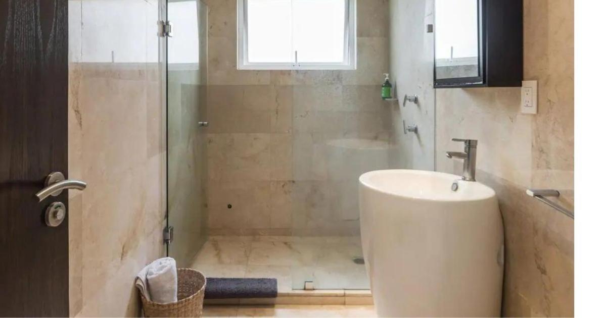 Condesa 7 Stylish 2 Bedroom, 1 Bathroom Accentuating Expansive Interiors Apartment