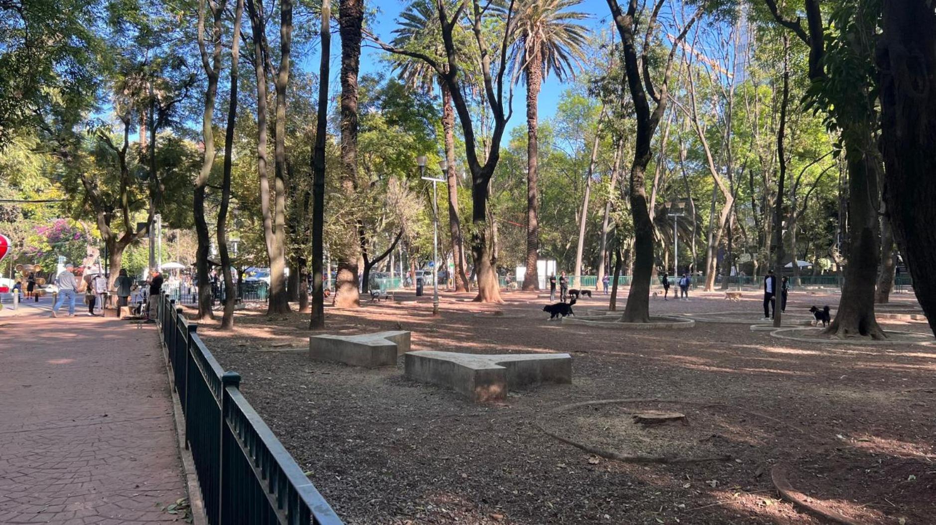 Condesa 7 Stylish 2 Bedroom, 1 Bathroom Accentuating Expansive Interiors Apartment Mexico City